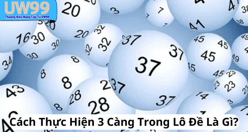 Cách Thực Hiện 3 Càng Trong Lô Đề Là Gì?